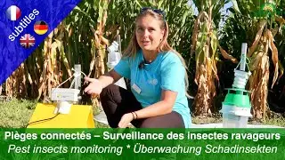 Pi&egrave;ges connect&eacute;s pour surveiller des insectes ravageurs - pr&eacute;sent&eacute; par cap2020