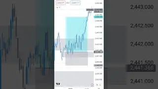 you'll never regret after joining link in bio #xauusd #forexsignals #forextrading #learnforex