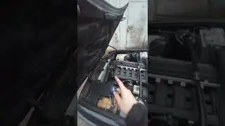 BMW E30. M52 строкер