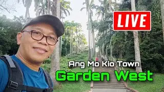 Virtual Walking Tour In Ang Mo Kio Town Garden West | Best thing to do in Singapore #travel