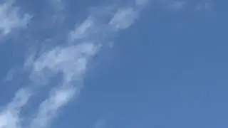 You eff oh || UFO Birds