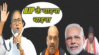 Mamata win west bengal election, Tmc Vs Bjp, Modi And Amit Shah lost West Bangal Watch News,WN,