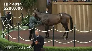 Bishops Bay sells for $1.3 million at the 2025 Keeneland November Horses of Racing Age Sale