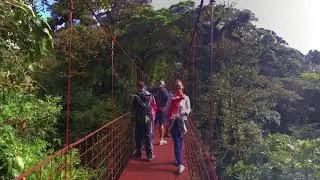 Monteverde Cloud Forest with 3 Brothers Tours