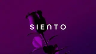 Ravell - Siento (Official Audio) [Kazaa]