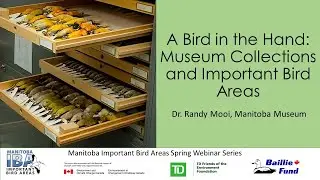 A Bird in the Hand: Museum Collections and Important Bird Areas