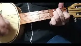 VIHUELA TUTORIAL LENTO  EL  PRIVILEGIO  DE  AMAR  /  ALEX  FERNANDEZ