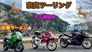 【CBR250RR×2&ninja650】で行ってみたらこんなにも道間違いするか？ってなった奈良迷走ツーリング