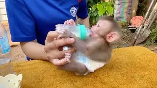 Tiny Baby LIORA Very Ability Hold Milk Bottle Drink Herself Reject Mom Feeding