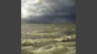 Tide