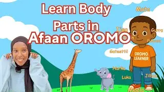 Afaan Oromo For Kids: Learn Body Parts in Oromo!