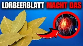WUSSTEST DU DAS &Uuml;BER DAS LORBEERBLATT? ES WIRKT BEEINDRUCKEND AUF DEINEN K&Ouml;RPER!