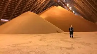 Foreign takeover rumour of Sask. potash company Nutrien a non-starter, says prof