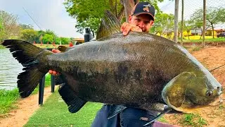MUITOS DUVIDAM QUE ESSA ISCA PEGA PEIXE GRANDE…