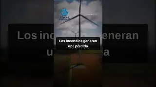 🌿 Los Incendios Roban 19 por ciento del Suelo del Planeta #Shorts