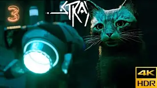Stray 2022 | Chapter 3 | The Flat | Max. Settings | 4K/60FPS Gameplay | Nvidia RTX 3050