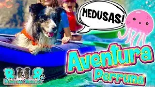 🐾 El Primer BA&Ntilde;O de mi PERRO en la PLAYA con KAYAK 🛶 C&oacute;mo reacciona mi perrito 🐟 Aventura PERRUNA