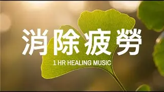 【Deep Healing Music】消除疲勞 🌿 1小時極簡療癒音樂：徹底清空大腦壓力，修復身心焦慮，洗去整日的疲憊｜適合睡前、讀書、冥想，找回內心的平靜
