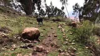 Hiking to Moray in Peru&rsquo;s Sacred Valley