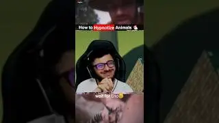 How to hypnotize animals 🐵🐔#facts #shorts #short #viral #trending #discovery #entertainment