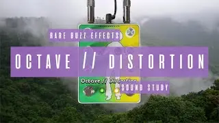 Sound Study // Rare Buzz Effects - Octave // Distortion