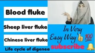 Life cycle of digenea || Chinese liver fluke || Sheep liver  fluke || Blood fluke
