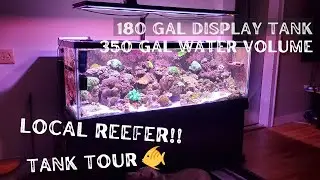Tank tour 180 gal display tank/Lighting / Filtration /equipment/Filtracion/equipos/ como mantener...