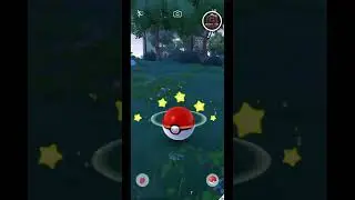 Shiny Corphish ✨ Spotted in the Wild! #PokemonGO