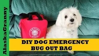 Bug Out Bag for Dogs Pets DIY Emergency Kit...Prepping With Pets