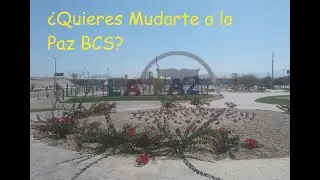 La Paz BCS. ¿ Piensas mudarte? Medita en esto