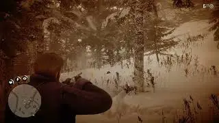 Red Dead Redemption 2 🔫🔥 | Intense Shooting Scene! (RDR2 Action Gameplay)