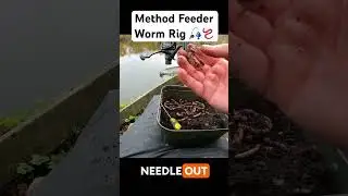 Method Feeder Worm Rig 🎣🪱 #feederfishing #methodfeeder #worms