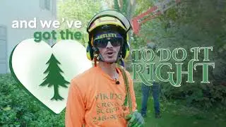 Viking Tree & Stump | Family-Owned Tree Care Built On Trust | Filmed by ChopShop Media