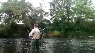Lazy casting on the river Moy