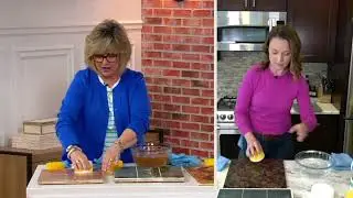 Bio Cleaner Set of 2 All-Purpose Cleaning Clay with 2 Sponges on QVC