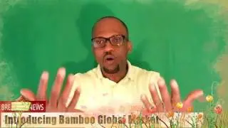 Shopping at Bamboo Global Market Made Easy