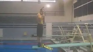 Steve's reef application