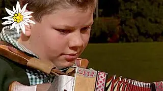 Accordion whizz-kid plays song about the flight of a hawk and wins annual competition