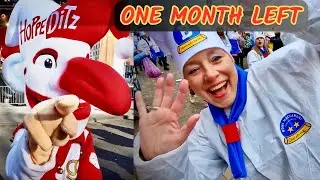 Düsseldorf Karneval 2026 🎭 ONE MONTH LEFT! | The Road to Rosenmontag