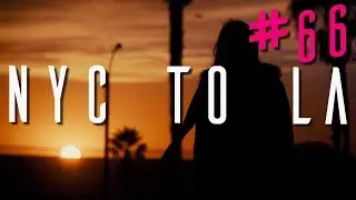 FILMING WITH SCOTTY CRANMER, JON OLSSON AND JANNI DELER - VLOG #66