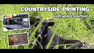 Animal Companions & Countryside Printing Life | Episode 1