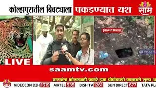 कोल्हापुरातील बिबट्याला पकडण्यात अखेर यश | Kolhapur Leoparad Attack News