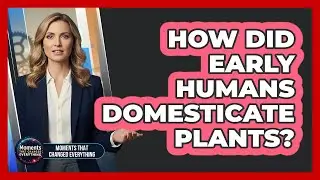 How Did Early Humans Domesticate Plants?