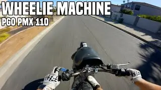 Why you NEED a 2 Stroke Scooter | PGO PMX 110