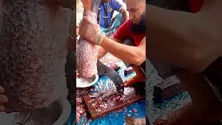 Mastering the Art of Fish Cutting | Step-by-Step Guide
