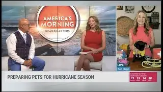 Hurricane Preparedness for Pets- As Seen on The Weather Channel