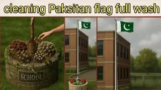 clean Pakistan flag full wash