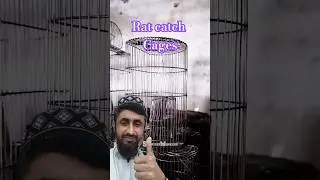 Rats catching cage making process in factory #steelcage #ratcage #shorts #viral #shortstreasure