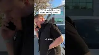 Как НЕ следует поступать со штрафом за парковку...