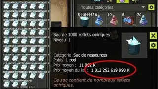 FAILLE ET ROLLBACK SUR DOFUS : EXPLICATIONS !